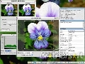 FastStone Capture 6.3 beta 2
