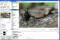 GdPicture Light Imaging Toolkit 4.6.0
