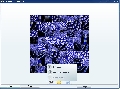 Mosaicers