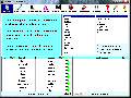Amigos Spanish Puzzles 2.4
