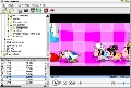 Flash Player Pro 3.1