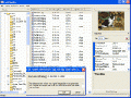 Exif Pilot 2.01