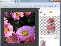 Photo Montage Guide Lite 2.1.6