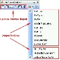FastStone Capture Portable 7.7