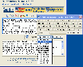 Im Translator for IE