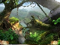 Kate Arrow: Deserted Wood Strategy Guide