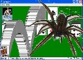 Spider Solitaire 1.00