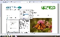 Foxit Advanced PDF Editor 3.10