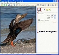 Picture Cutout Guide 3.1.5
